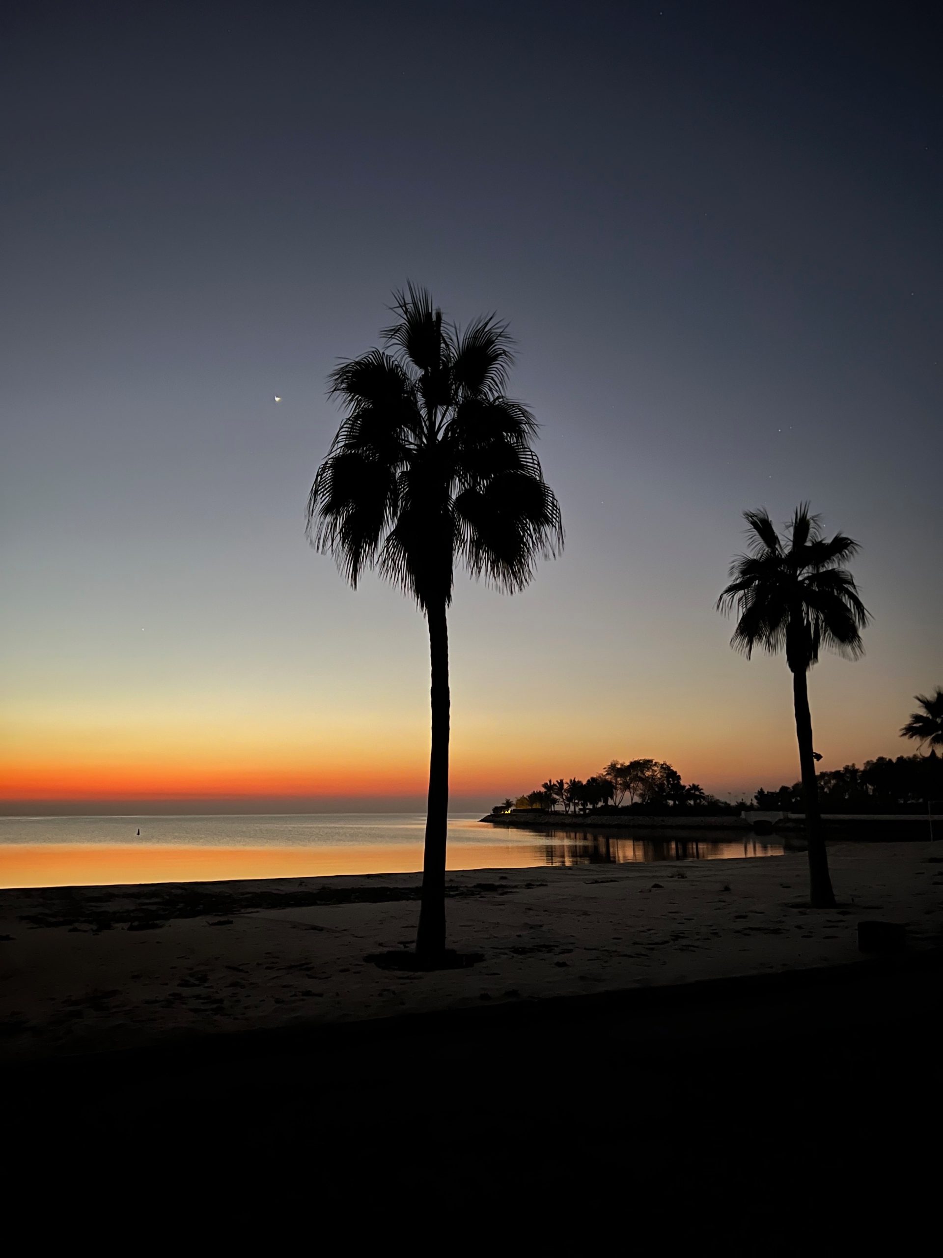 beach with palm trees at sunset or sunrise
