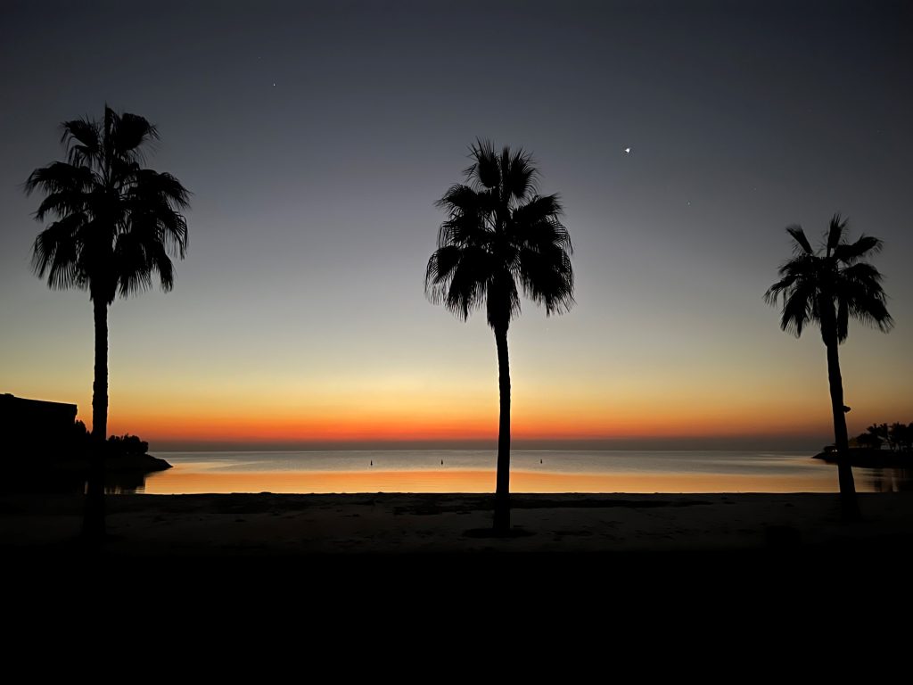 sky turning orange over water with palm tree silhouettes in the foreground